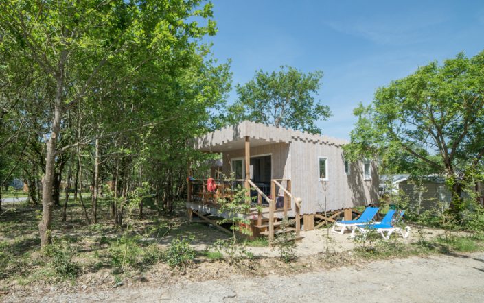 Cabane sur pilotis - La Chenaie